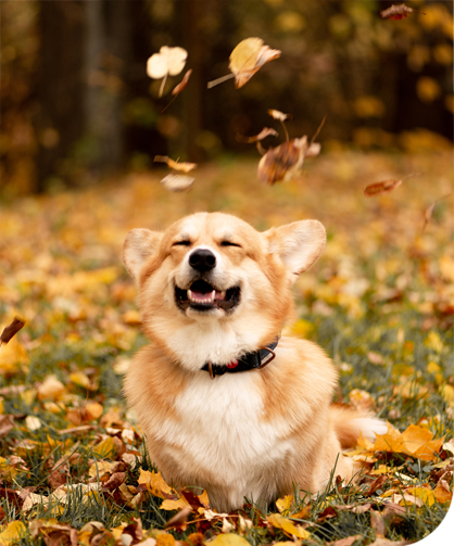 웹메디컬 포트폴리오
